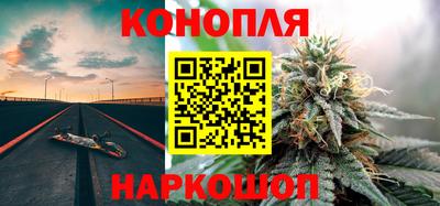 прущие грибы Ирбит