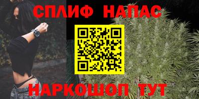 прущие грибы Ирбит