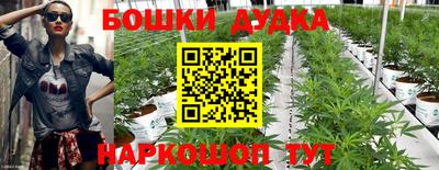 прущие грибы Ирбит