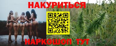прущие грибы Ирбит