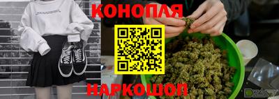 прущие грибы Изобильный
